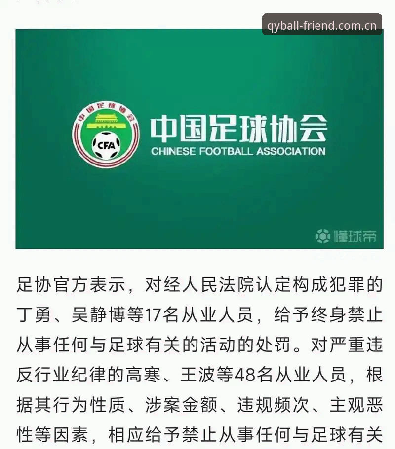 足协第三批禁足名单详解：17人终身禁赛，48人遭重罚